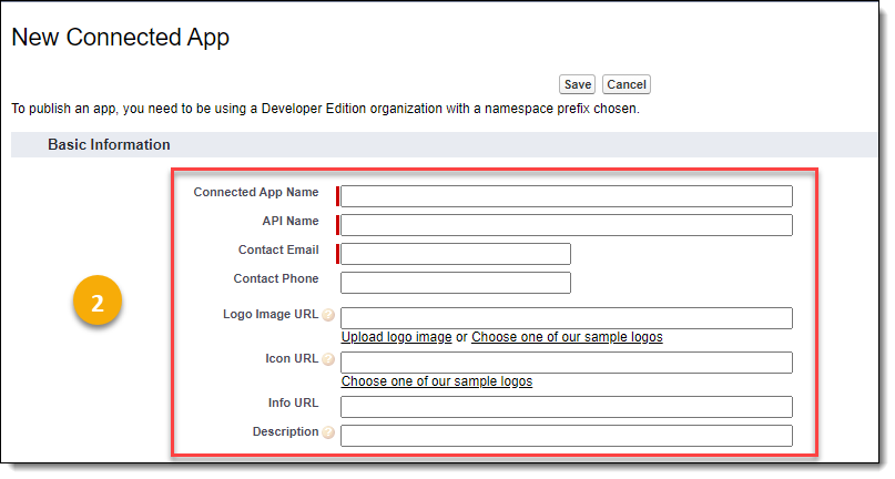 New Connected App Detail_Basic Information.png
