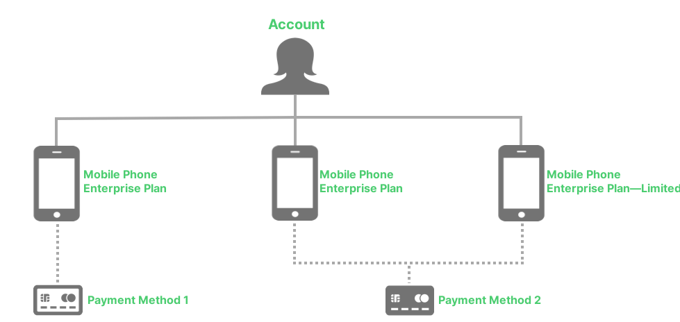 Plans-hierarchy_multiple-MP-payment-methodsG.png